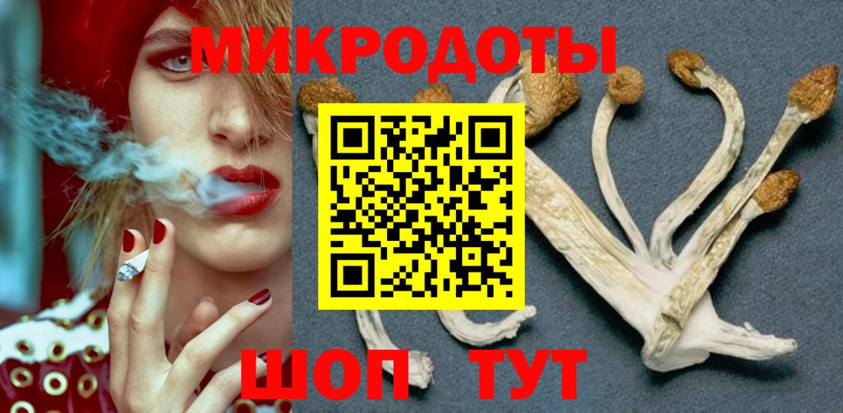 Галлюциногенные грибы Psilocybe  Галлюциногенные грибы Psilocybe  Томск  Вход с VPN 